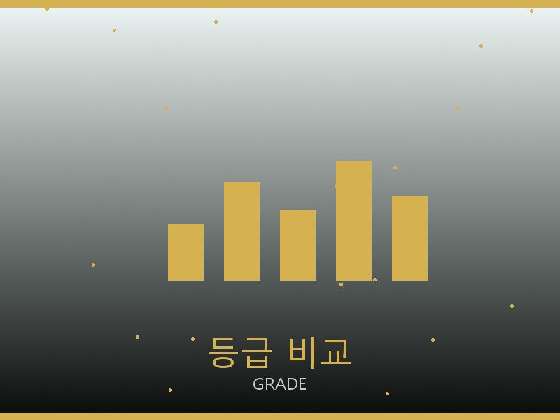 캐나다구스 레플리카 사이트 등급 기준 비교