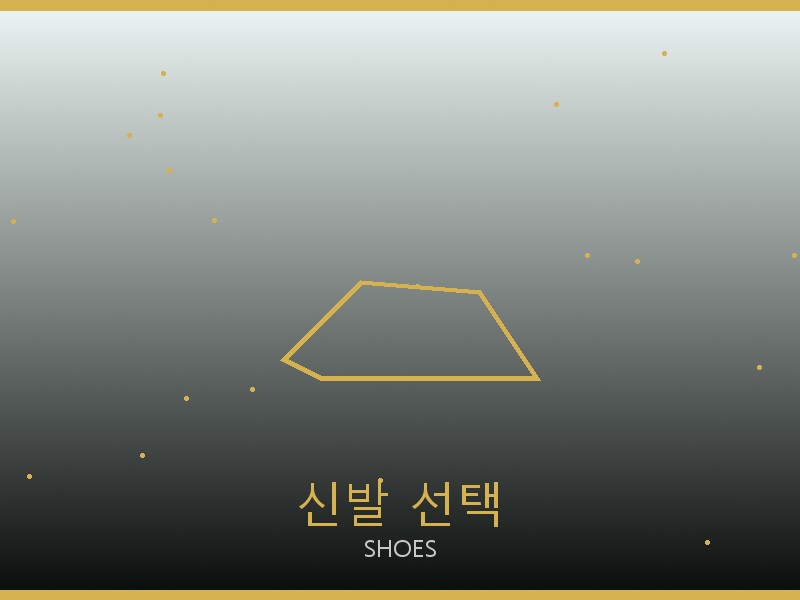 캐나다구스 레플리카 사이트 신발 선택 가이드